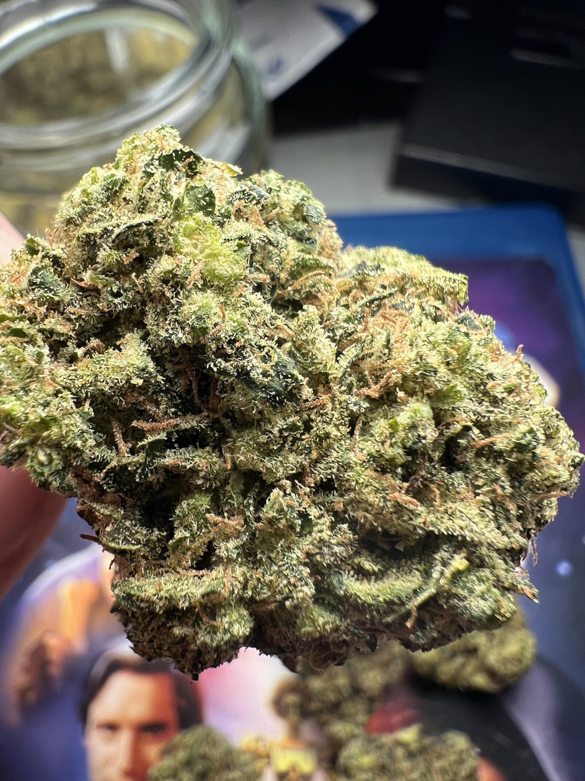 G-Wagon strain hytiva, G-Wagon strain effects, g ride strain allbud, zwish strain, G-Wagon hybrid strain, sativa wagon strain, wayofleaf G-Wagon, greyhound strain, G-Wagon strain hytiva, G-Wagon strain for sale, G-Wagon strain effects, g ride strain allbu, dzwish strain, G-Wagon hybrid strain, sativa wagon strain, wayofleaf G-Wagon