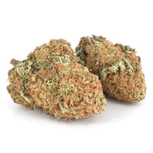 super silver haze near me, super silver haze for sale, super silver haze vs lemon, super silver haze effects, super silver haze reviews, growing super silver haze indoors, super silver haze feminized seeds, super silver haze thca flower, super silver haze near me, super silver haze vs lemon, super silver haze effects, super silver haze reviews, growing super silver haze indoors, super silver haze feminized seeds, super silver haze thca flower, super silver haze plant, silver haze strain benefits, silver haze strain review, super silver haze strain growing, super silver haze strain effects, silver haze strain thc level, super silver haze strain seeds, super silver haze strain allbud, super silver haze strain terpenes, Super Silver Haze bestellen, Super Silver Haze kaufen deutschland
