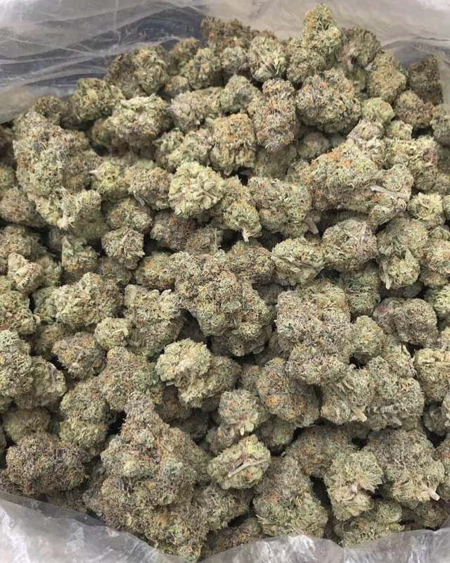 acdc cannabis strain near me, where to buy acdc strain, where to buy acdc cannabis, acdc strain near me, acdc cannabis near me, acdc strain review, acdc weed for sale, acdc strain terpenes, where to buy acdc strain, where to buy acdc cannabis, acdc weed for sale, acdc strain terpenes, acdc weed strain, acdc cookies strain, acdc cbd seeds, acdc gummies