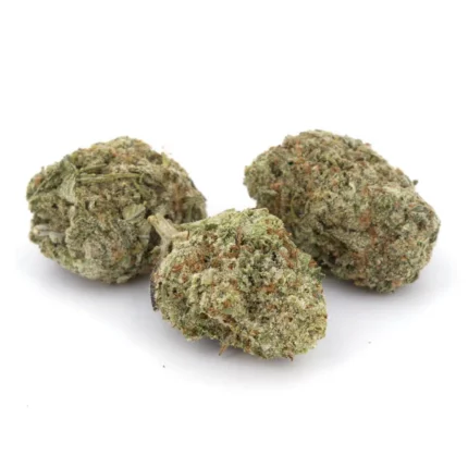 Snow Lotus (AAA) online kaufen