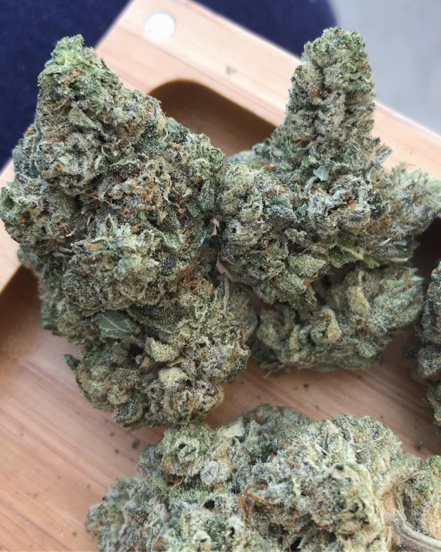 is kush indica or sativa, afghan kush vs hindu kush, afghan kush plant, buy afghan kush online, afghan kush strain benefits, afghan kush feminized marijuana seeds, afghan kush strain effects, afghan kush thca buy, afghan kush feminized marijuana seeds, afghan kush feminized marijuana, afghan kush strain for sale, afghan kush autoflower seeds, afghan marijuana seeds for sale, buy afghan kush seeds, afghan kush hemp seeds, royal king afghan kush seeds, afghan kush strain benefits, is kush indica or sativa, afghan kush indica strain, afghan kush strain effects, afghan kush strain flowering time, afghan kush vs hindu, afghani strain indica or sativa, afghan kush strain review