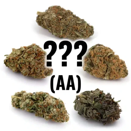1 Packung Mystery Strain (AA)