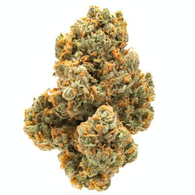 legends green crack near me, strains similar to green crack, green crack marijuana strain info, green crack strain near me, green crack strain lineage, green crack marijuana strain, green diamond thc crack sativa, when to harvest green crack, green crack strain flowering time, green crack strain near me, green crack strain reviews, green current weed strain, strains similar to green crack, green diamond thc crack sativa, green crack strain snoop dogg