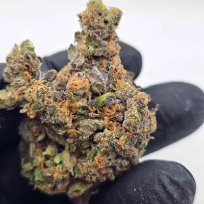 Blue Nerds (Nerdz) 60 Gram Trim & Smalls