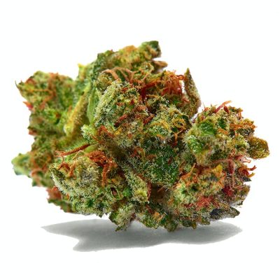 sour diesel dispensary near me, super sour diesel near me, sour diesel cartridge near me, sour diesel cannabis strain near me, sour diesel edibles near me, strains similar to sour diesel, sour diesel strain near me, sour diesel cannabis near me, where to buy sour diesel near me, how strong is sour diesel, where to buy sour diesel, sour diesel near me, flowering time for sour diesel, sour diesel flowering time indoor, sour diesel grow diary, sour diesel cannabis near me, where to buy sour diesel near me, how strong is sour diesel, sour diesel cartridge near me, sour diesel indica or sativa, strains similar to sour diesel, sour diesel edibles near me, where to buy sour diesel, sour diesel strain near me, Sour Diesel Strain bestellen, Sour Diesel Strain Kaufen deutschland