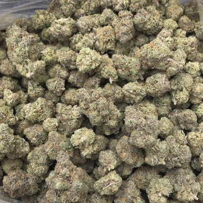 acdc cannabis strain near me, where to buy acdc strain, where to buy acdc cannabis, acdc strain near me, acdc cannabis near me, acdc strain review, acdc weed for sale, acdc strain terpenes, where to buy acdc strain, where to buy acdc cannabis, acdc weed for sale, acdc strain terpenes, acdc weed strain, acdc cookies strain, acdc cbd seeds, acdc gummies