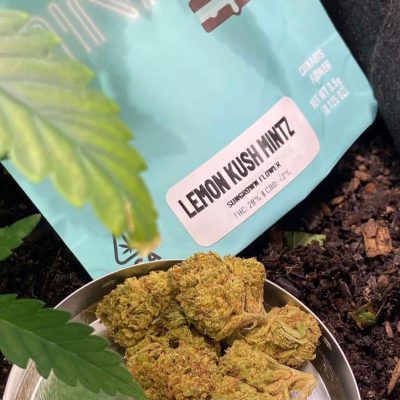 kush mintz indica or sativa, kush mintz for sale, what strain is kush mints, kush mintz cannabis, kush mints strain benefits, high supply kush mints, kush mintz strain review, kush mintz thca flower, kush mintz indica or sativa, what strain is kush mints, kush mintz cannabis, kush mints strain benefits, high supply kush mints, kush mintz strain review, kush mintz thca flower, kush mintz strain type