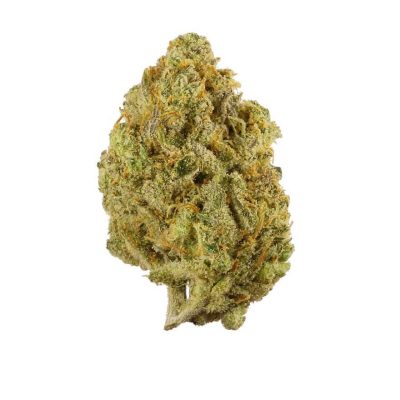 lemon haze effects, super lemon haze pictures, lemon haze strain side effects, lemon haze marijuana strain, growing super lemon haze, lemon og haze marijuana strain, super lemon haze marijuana, buy lemon haze online, lemon haze effects, super lemon haze pictures, lemon haze strain side effects, lemon haze marijuana strain, growing super lemon haze, lemon og haze marijuana strain, super lemon haze marijuana, super lemon haze near me, super lemon haze pics, super lemon haze seedfinder, butterfly effect super lemon haze, happy valley super lemon haze, super lemon haze marijuana strain, super lemon haze strain yield, super lemon haze strain information, super lemon haze strain leafly