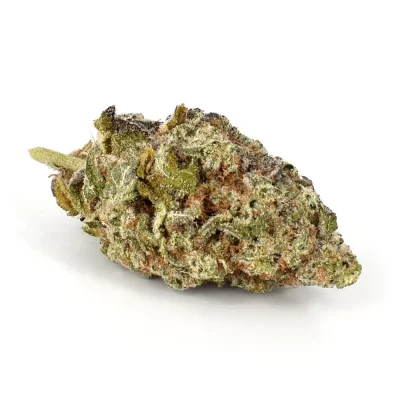 Miracle Alien Cookies (AAAA) online kaufen