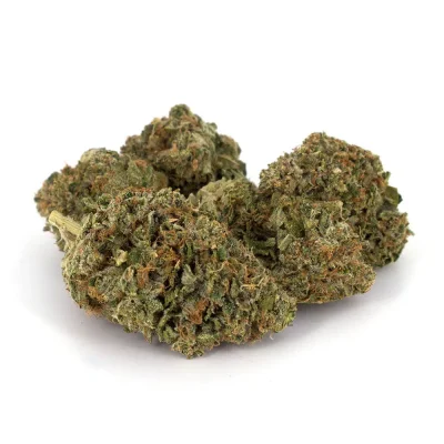 pinkkush2-1.jpg