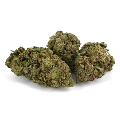 Rockstar OG (AAAA)