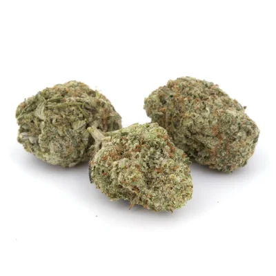Snow Lotus (AAA) online kaufen