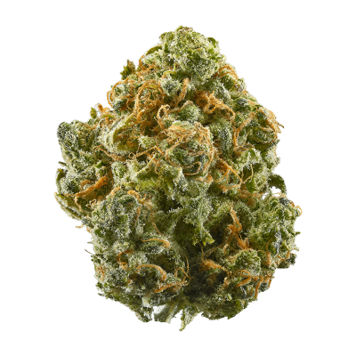 weed online shop deutschland, marihuana legal kaufen deutschland, marihuana online shop, weed shops germany, cannabis shops in deutschland, marihuana pflanze kaufen, cannabis kaufen in der nähe, marihuana pflanzen kaufen, Guava Haze Strain
